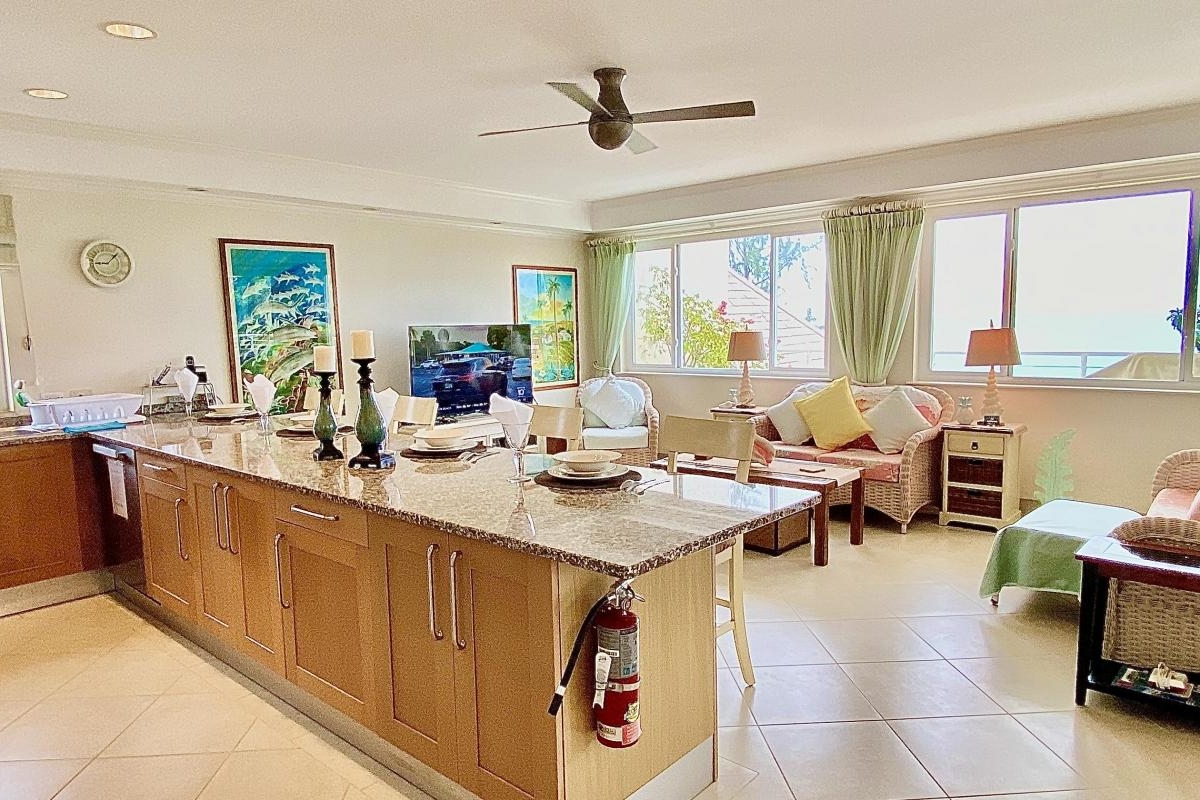 Palm Beach 502