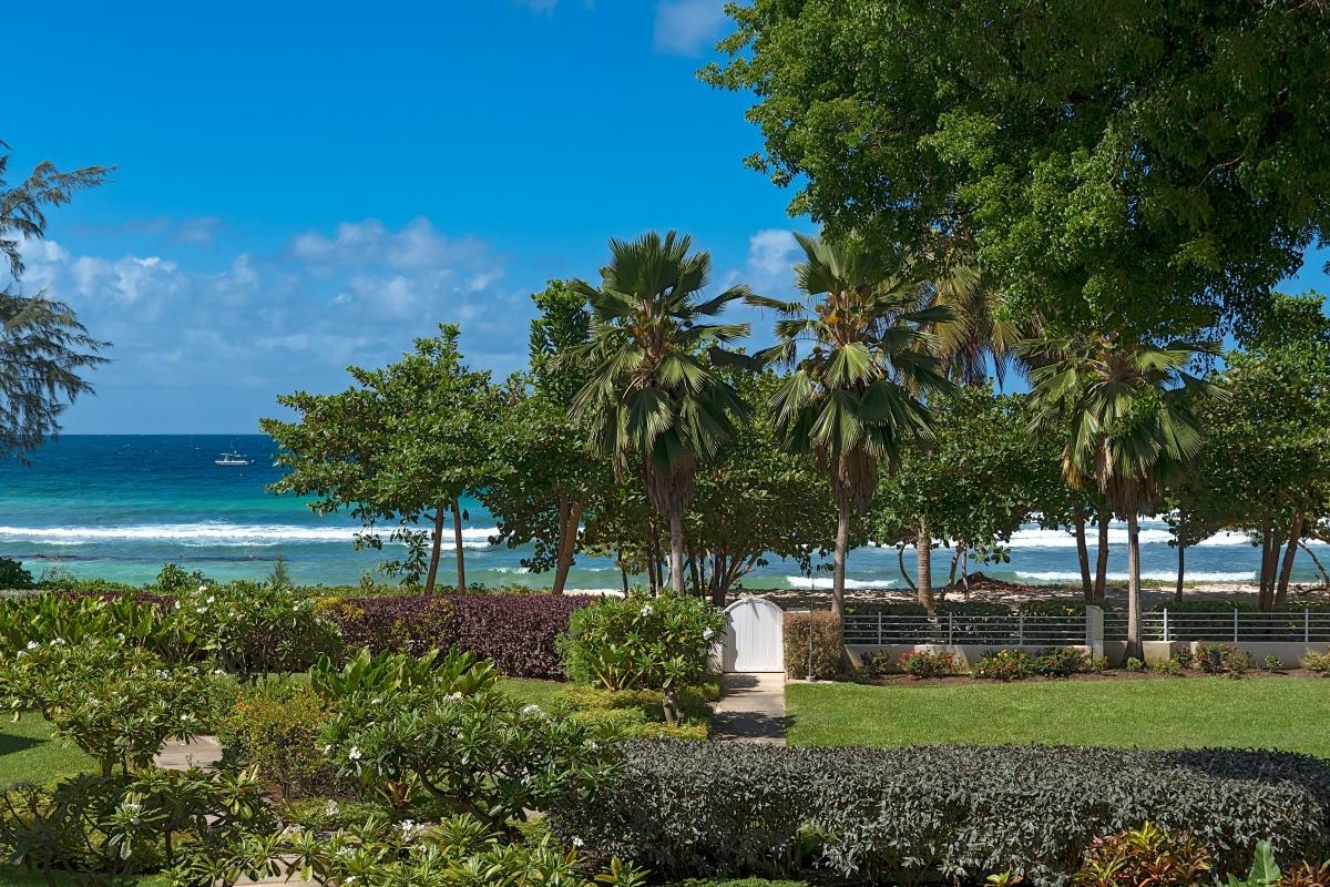 Palm Beach 502