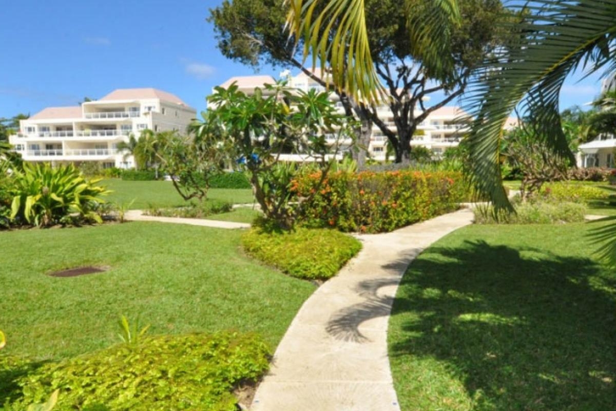 Palm Beach 502