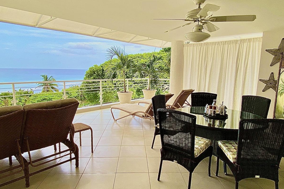 Palm Beach 502