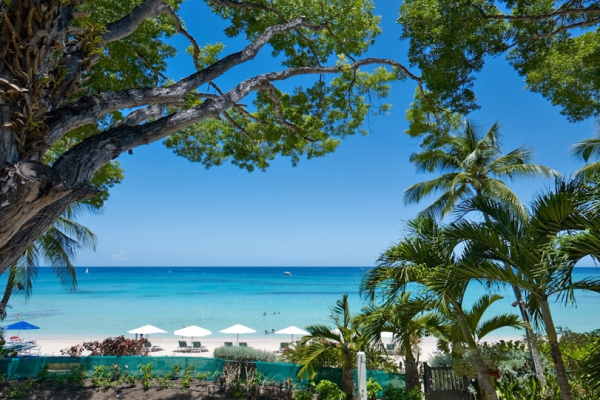 Condo Coral Cove Penthouse 15 