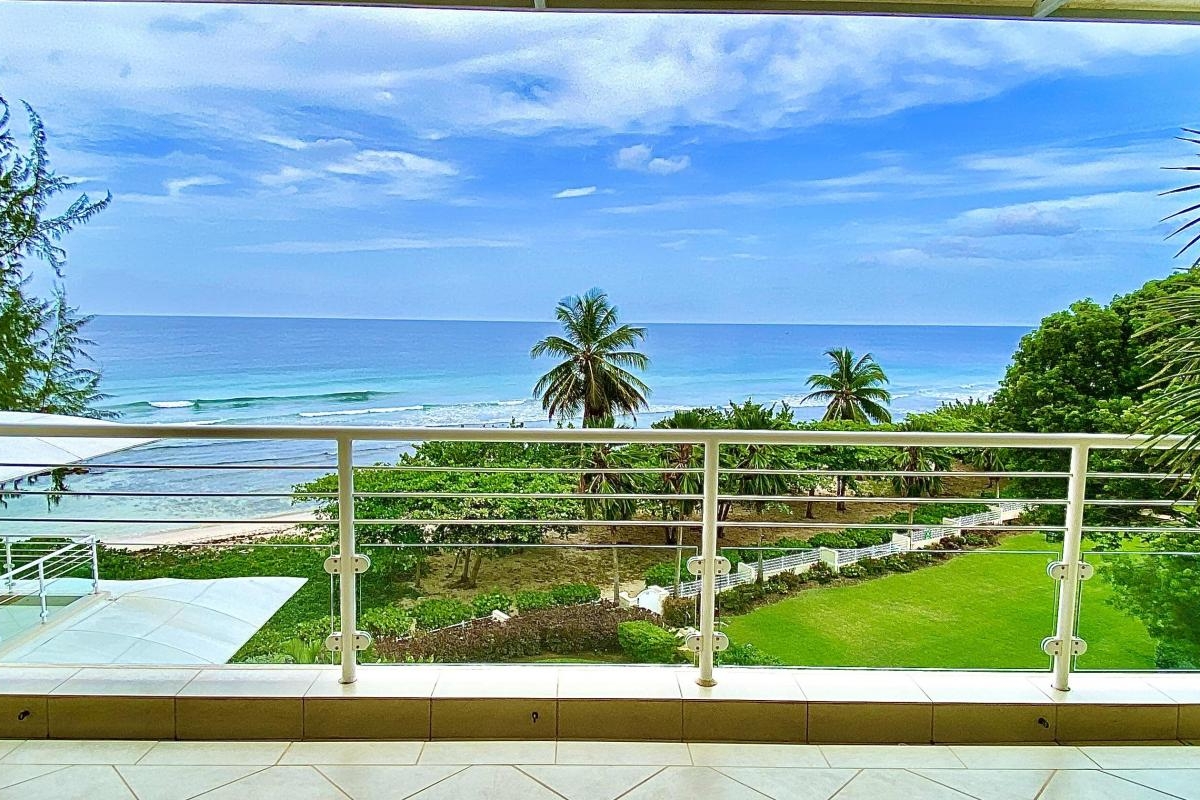 Palm Beach 502