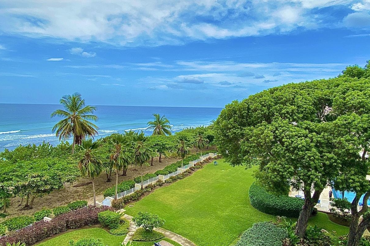 Palm Beach 502