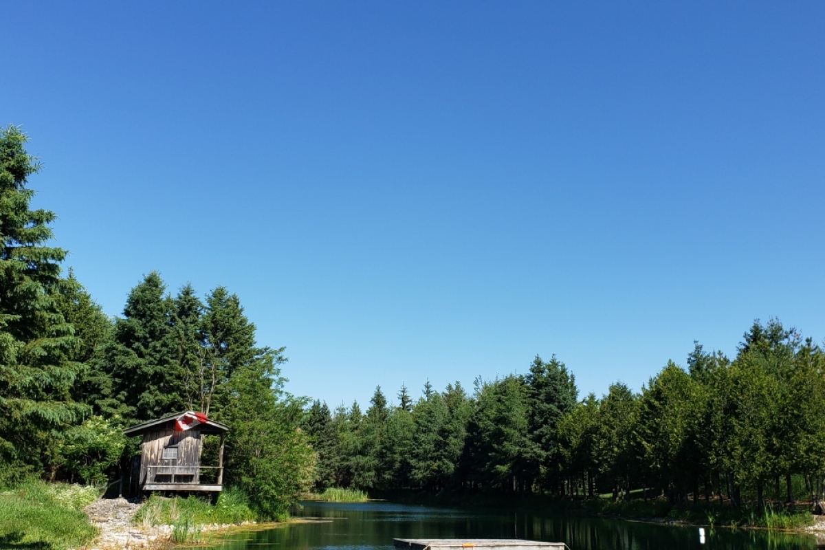 Rustic Beach House