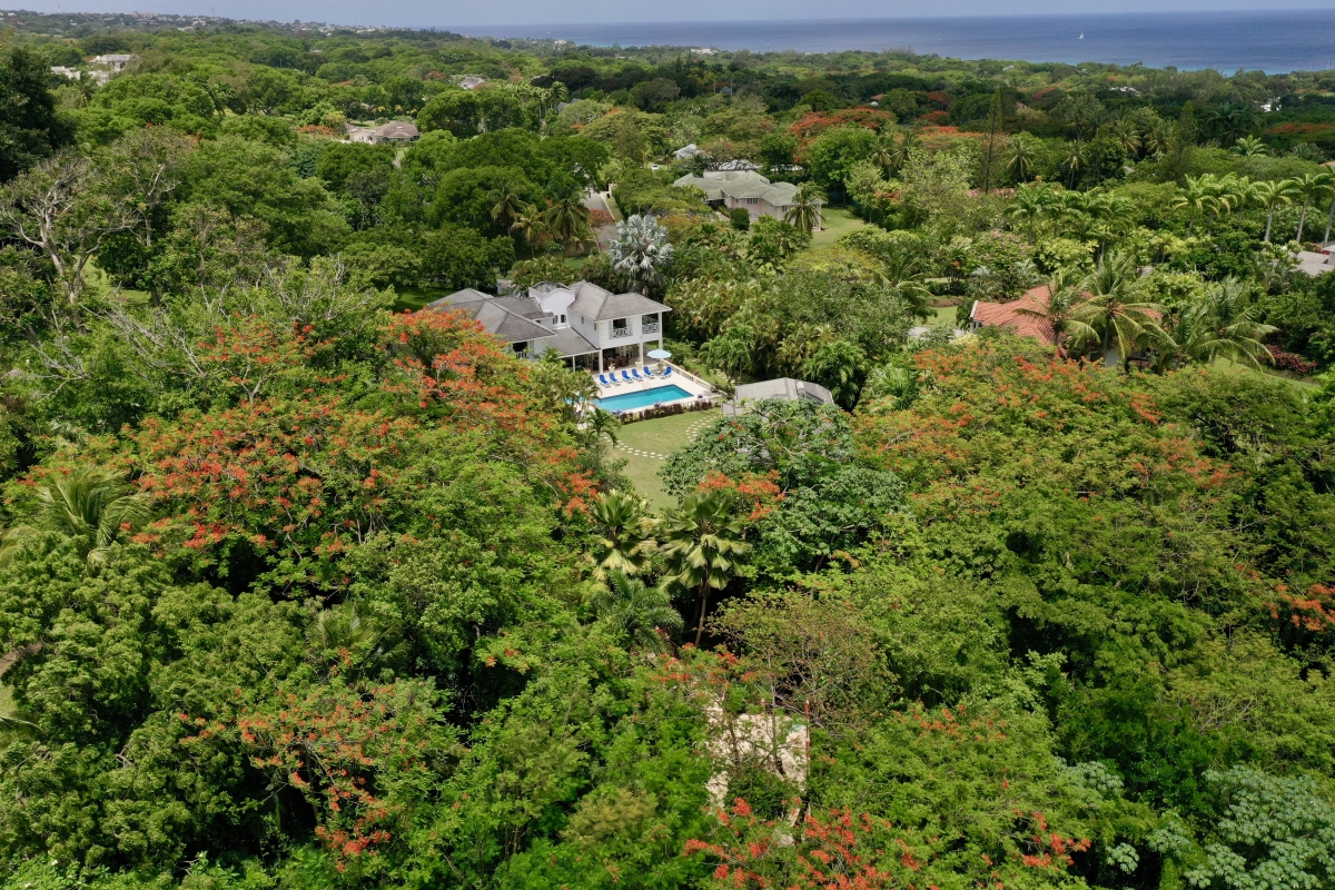 Villa Rose of Sharon