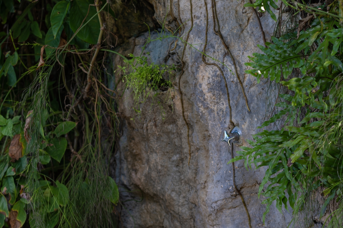 Secret Cove 2