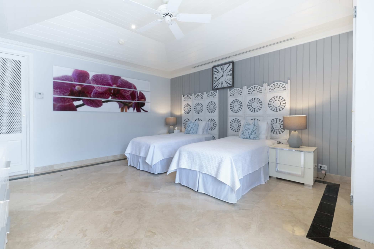 Old Trees 3 - Sundance