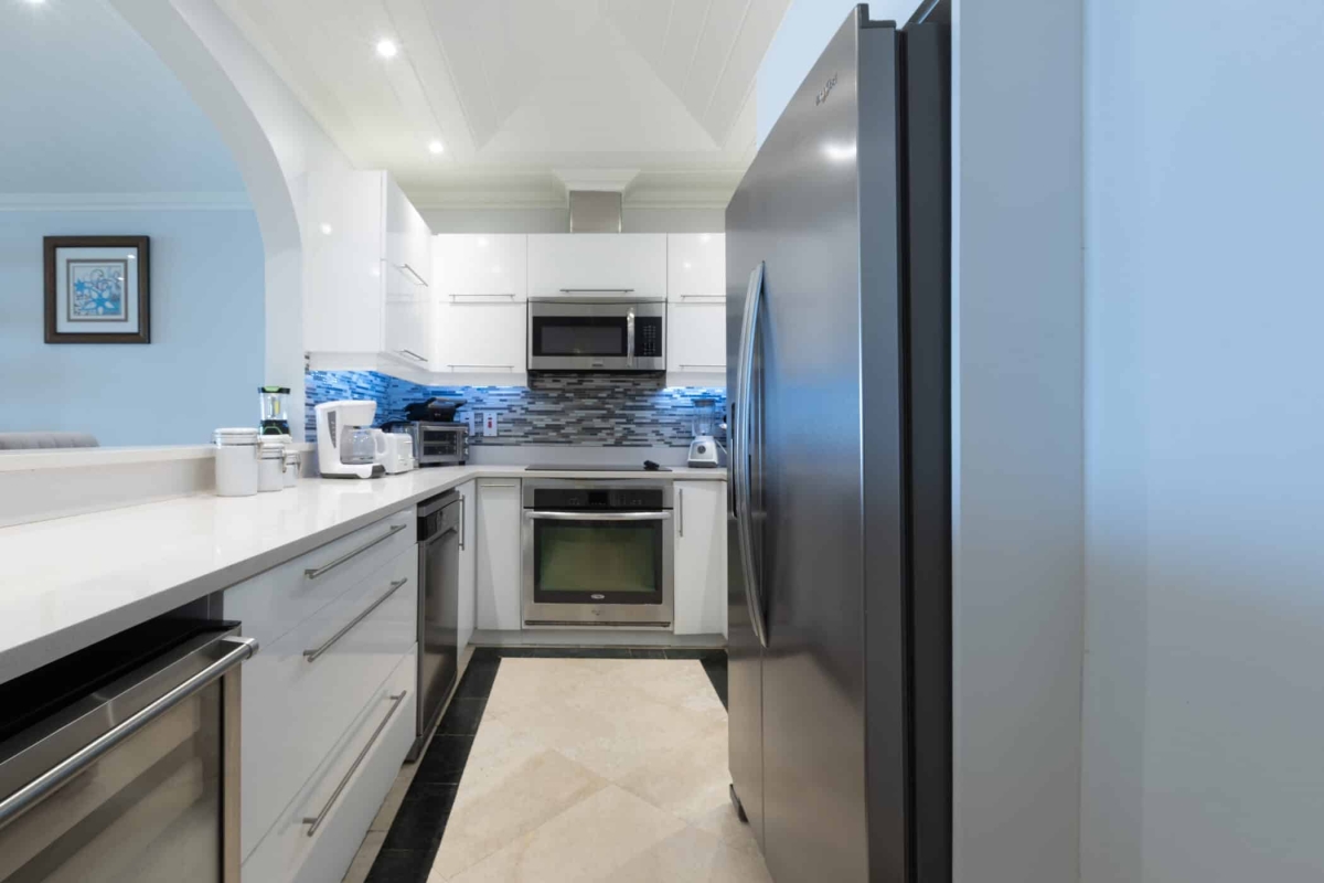 Old Trees 3 - Sundance