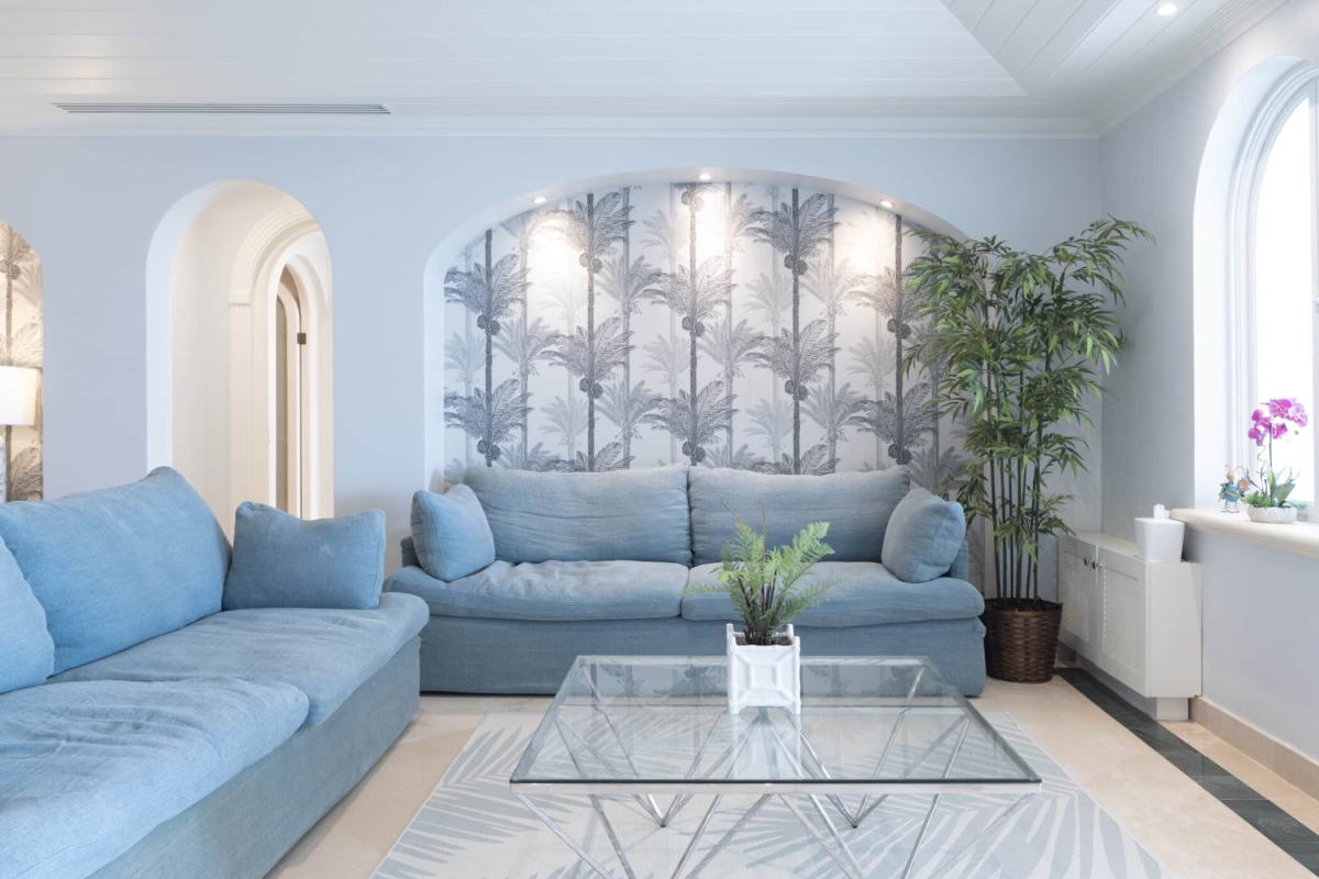 Old Trees 3 - Sundance