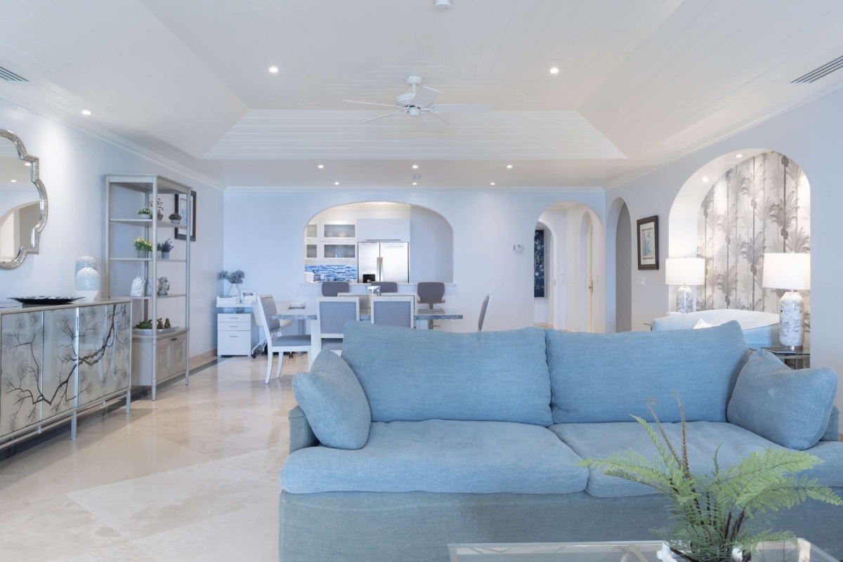 Old Trees 3 - Sundance