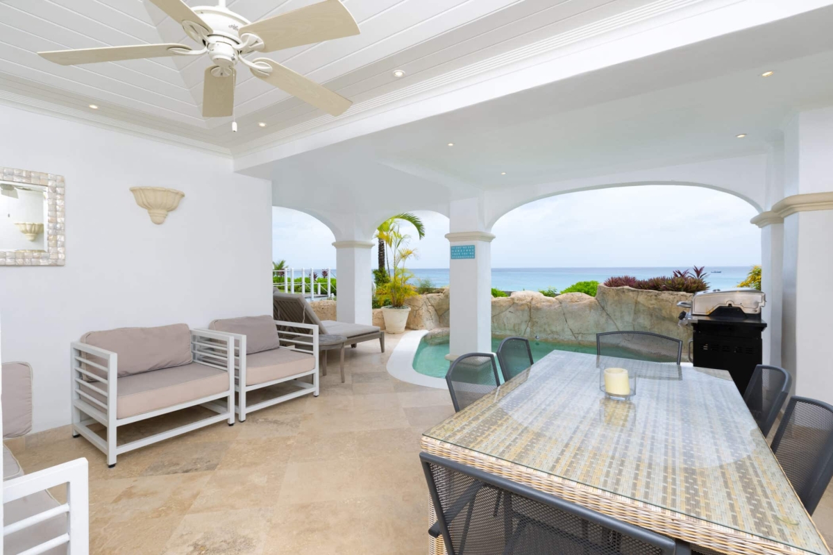 Old Trees 3 - Sundance