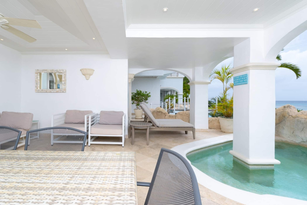 Old Trees 3 - Sundance