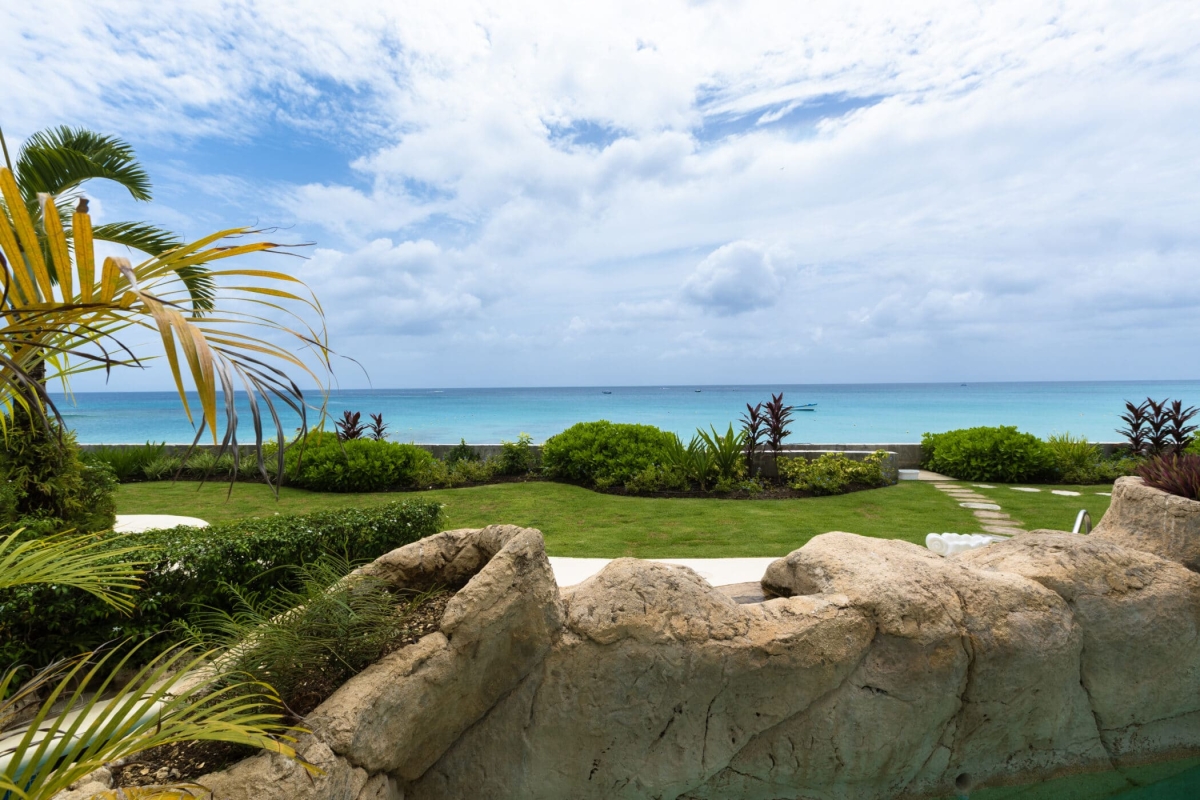 Old Trees 3 - Sundance