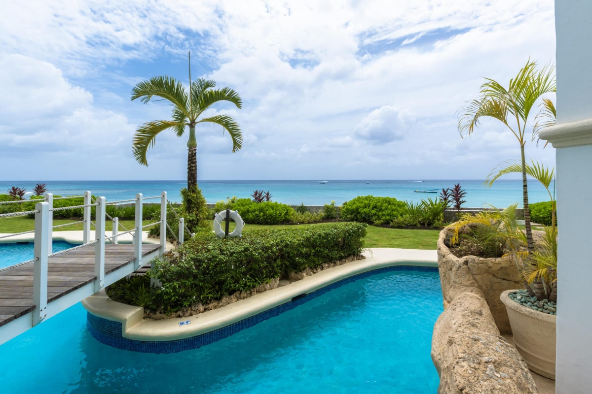 Old Trees 3 - Sundance