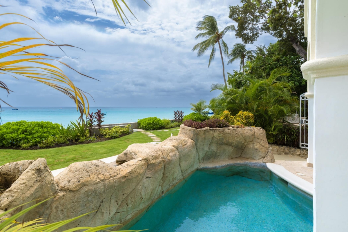 Old Trees 3 - Sundance