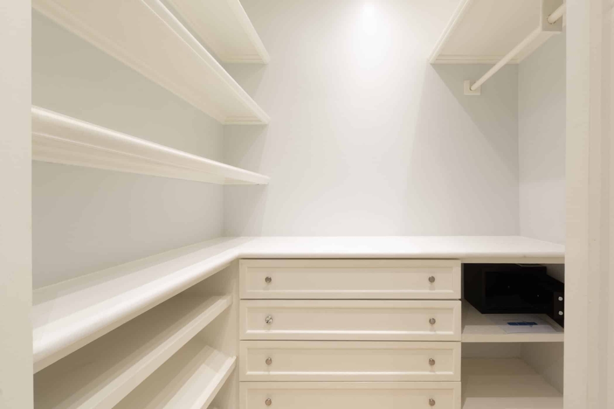 Old Trees 3 - Sundance