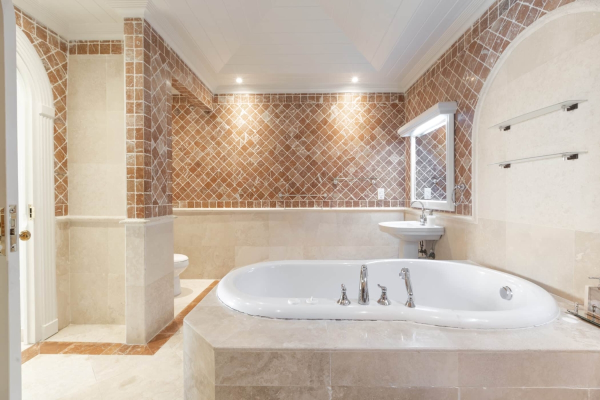 Old Trees 3 - Sundance