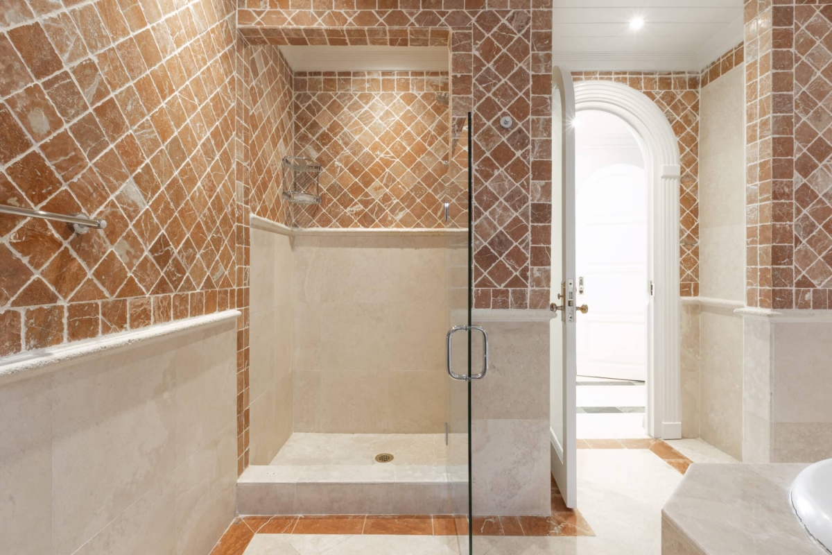 Old Trees 3 - Sundance