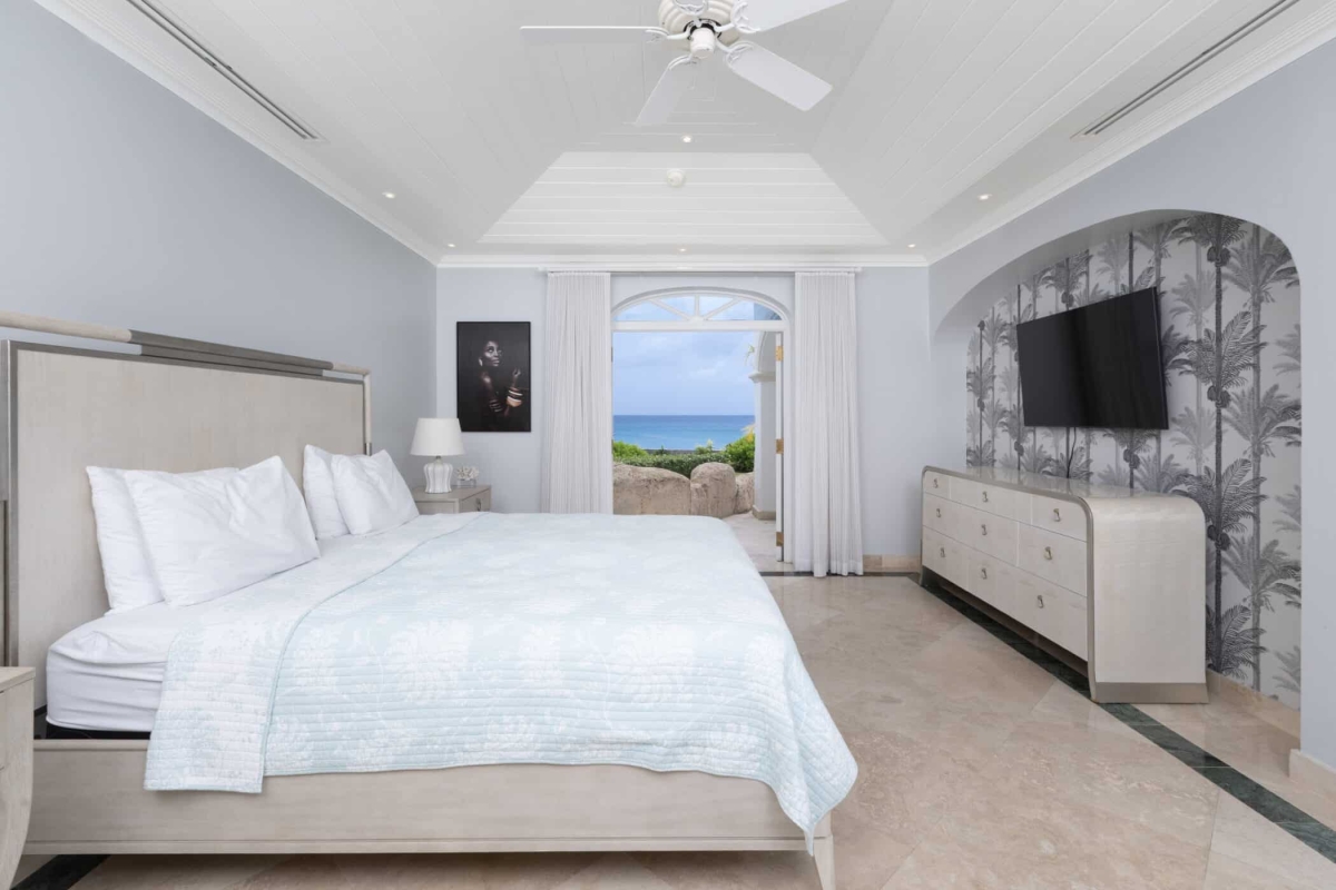 Old Trees 3 - Sundance