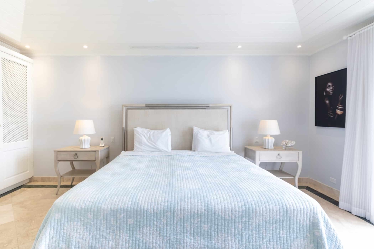 Old Trees 3 - Sundance