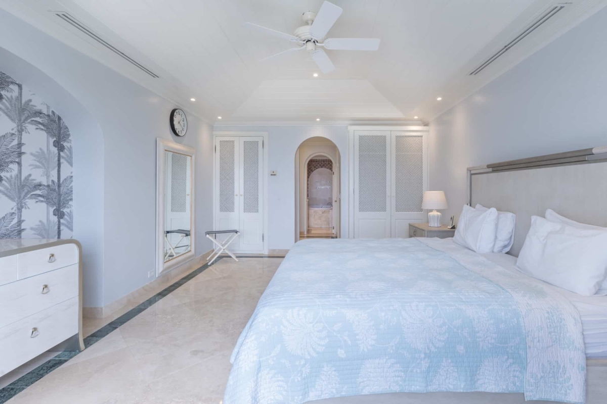 Old Trees 3 - Sundance