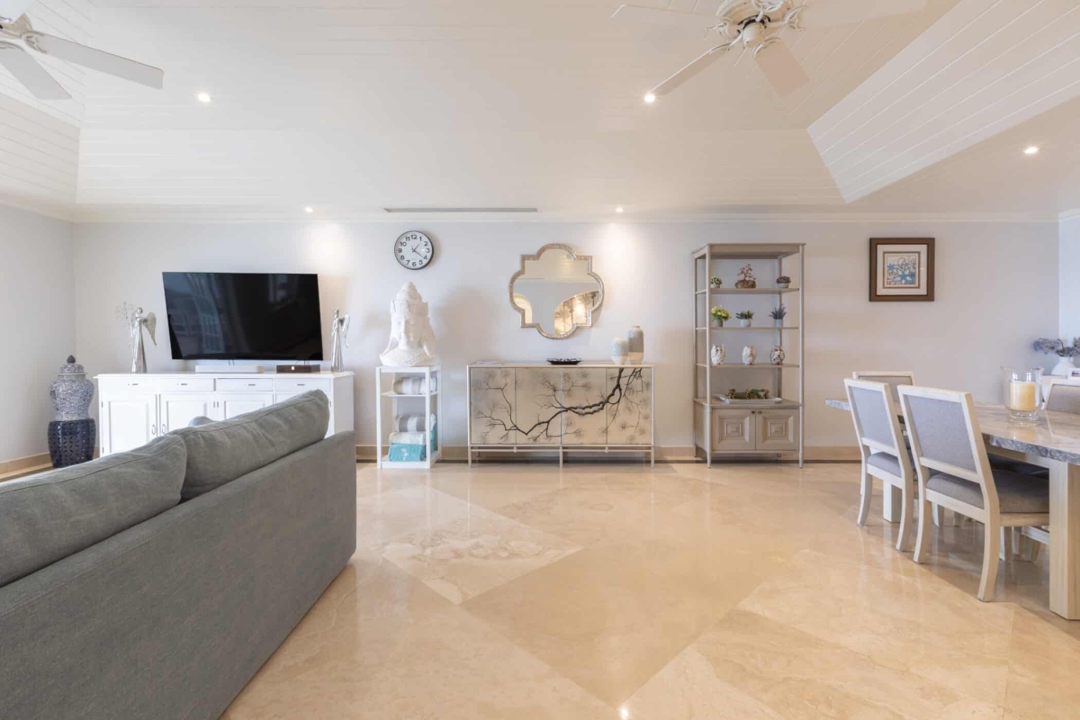 Old Trees 3 - Sundance