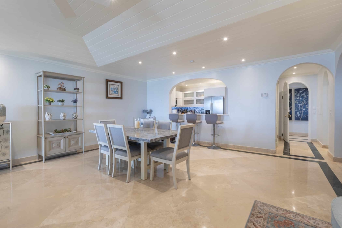 Old Trees 3 - Sundance