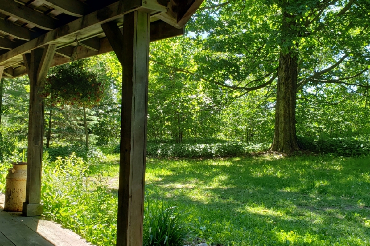 Circa 1850 Settlers Cabin