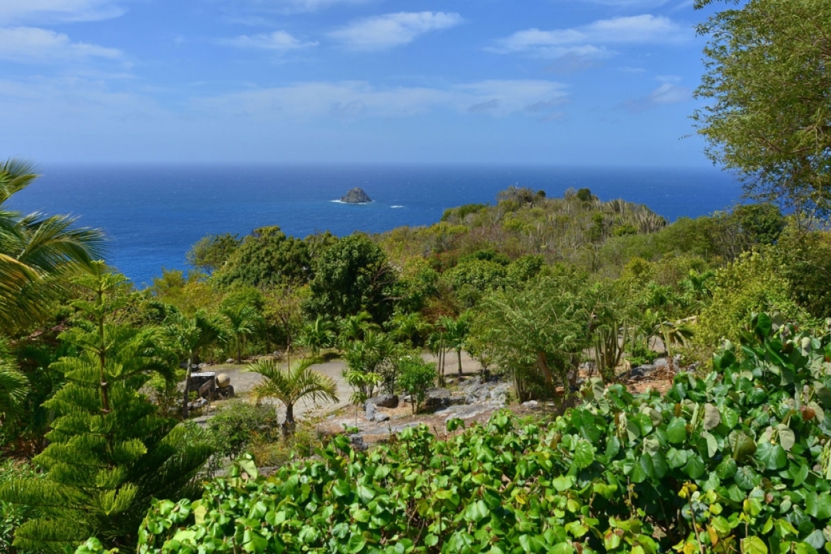 Villa Taniko 