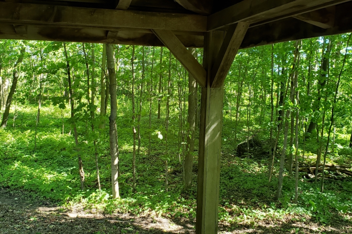 Circa 1850 Settlers Cabin